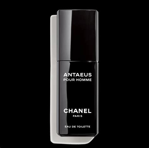 chanel antaeus edt spray für ihn 100 ml|chanel antaeus perfume.